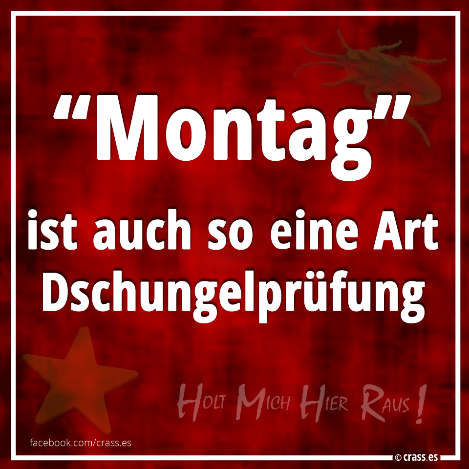 Montag ist auch so eine Art Dschungelprüfung. Facebook Spruchbilder