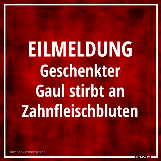 Eilmeldung: Geschenkter Gaul stirbt an Zahnfleischbluten - Funsprüche