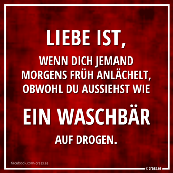 Das ist wahre Liebe - Witzige Sprüche
