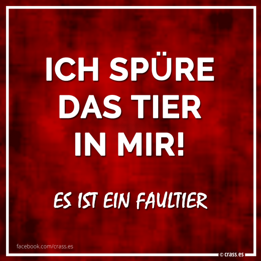 Tierische Faulheit - Witzige Sprüche