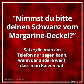 Auf einmal war ein betretendes Schweigen am anderen Ende der Leitung.. - Lustige Sprüche Arbeit