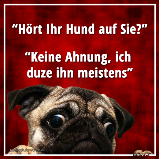Hört ihr Hund auf Sie? - Witzige & Lustige Sprüche