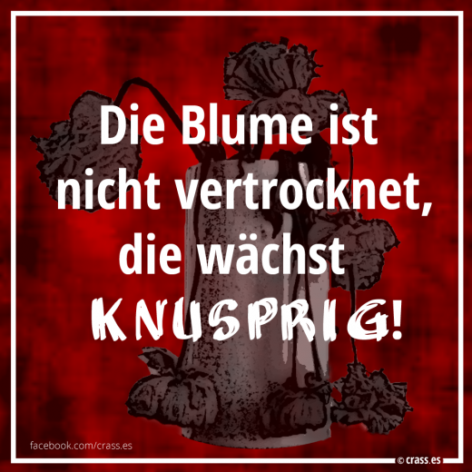 Die Blume ist nicht vertrocknet - Funsprüche